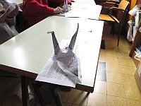 grudellapace borgonovo 4d 
