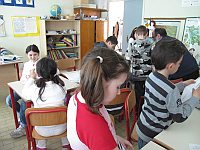 grudellapce sarmato 3 a b